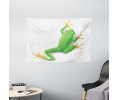 Tropic Frog in Nature Wide Tapestry