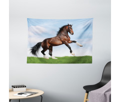 Horse Pacing on Grass Wide Tapestry