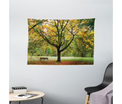 Autumn Park Leaves Nature Wide Tapestry