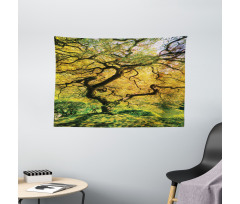 Large Maple with River Wide Tapestry