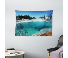 Snowy Forest Pool Wide Tapestry
