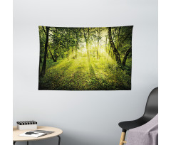 Scenic Morning in Nature Wide Tapestry