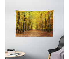 Pathway into the Forest Wide Tapestry