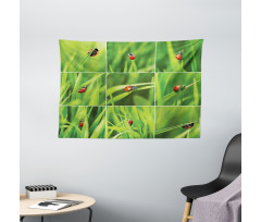 Ladybug over Fresh Grass Wide Tapestry