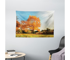 Maple Tree in Autumn Wide Tapestry