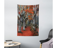 Beech Forest Autumn Tapestry