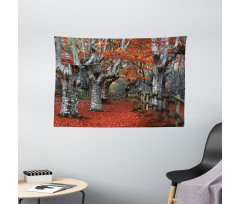 Beech Forest Autumn Wide Tapestry