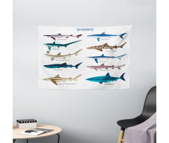 Cartoon Shark Types Wild Wide Tapestry