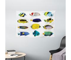Collage of Sea Animals Wide Tapestry