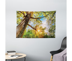 Vibrant Summer Sky Wide Tapestry