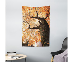 Old Tree Botany Wood Tapestry