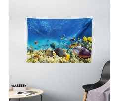 Ocean Animals Wide Tapestry