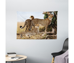 Safari Animal Cheetahs Wide Tapestry