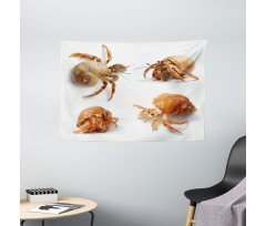 Hermit Crabs Pattern Wide Tapestry