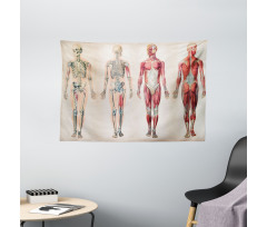 Anatomy Human Body Wide Tapestry