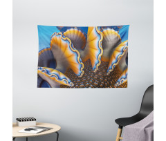 Shells in Sea Ocean Wide Tapestry