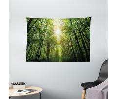 Summer Trees Upward View Wide Tapestry