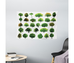 Pines Planes Bushes Tree Wide Tapestry