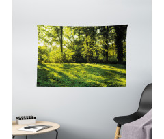 Rising Sun Beams Forest Wide Tapestry