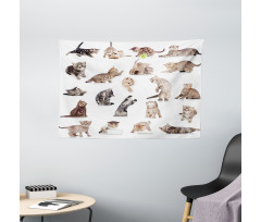 Funny Playful Cats Image Wide Tapestry