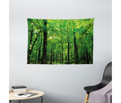 Woodland Tree Forest Sun Wide Tapestry