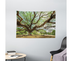 Big Rain Tree Thailand Wide Tapestry