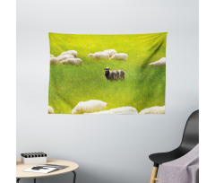 Black Sheep White Goats Wide Tapestry
