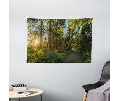 National Park Trees Path Wide Tapestry