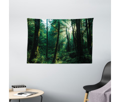 Sunset in Woods Trees Wide Tapestry