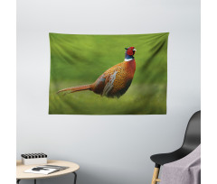 Pheasant Long Tail Meadow Wide Tapestry