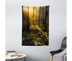 Misty Morning Sun Rays Tapestry