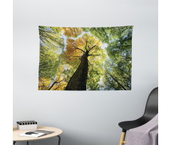 Forest Autumn Growth Eco Wide Tapestry