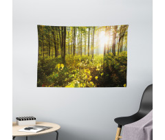 Sun Rays Woods Foliage Wide Tapestry