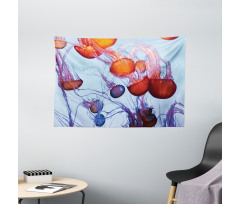 Jellyfish in the Ocean Wide Tapestry
