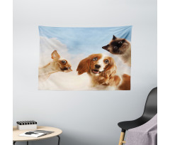 Cats Dogs in Sky Clouds Wide Tapestry