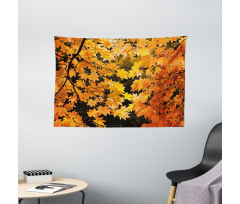 Vivid Autumn Maple Leaves Wide Tapestry