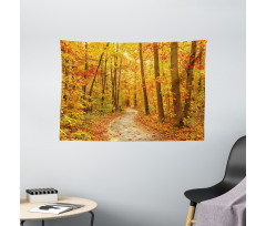 Pathway in the Wilderness Wide Tapestry