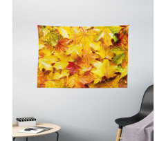 Wet Maple Leaves Nature Wide Tapestry