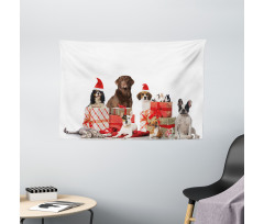 Pets Surprise Boxes Wide Tapestry