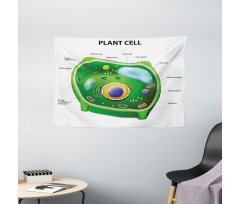 Cell Biology Plant Wide Tapestry