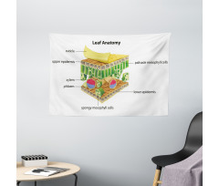 Leaf Names Theme Wide Tapestry