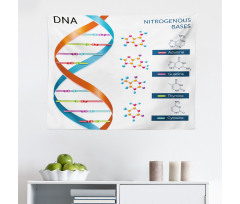 Öğretici Mikrofiber Geniş Duvar Halısı Turuncu Mavi DNA
