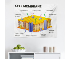 Öğretici Mikrofiber Geniş Duvar Halısı Hücre Zarının Yapısı
