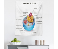 Öğretici Mikrofiber Duvar Halısı Hücrenin Anatomisi