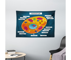 Science at School Wide Tapestry
