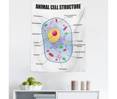 Öğretici Mikrofiber Duvar Halısı Hayvan Hücresi Yapısı