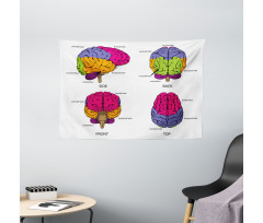 Human Brain Colors Wide Tapestry