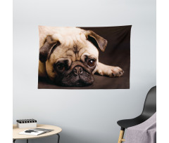 Puppy Photograph Animals Wide Tapestry