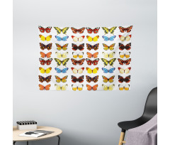 Butterflies Many Shapes Wide Tapestry