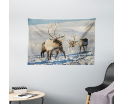 Reindeers Norway Caribou Wide Tapestry